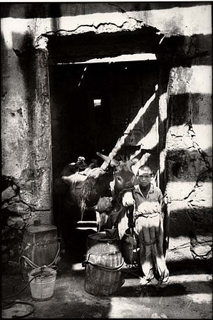 Boy and Donkey, Mexico
